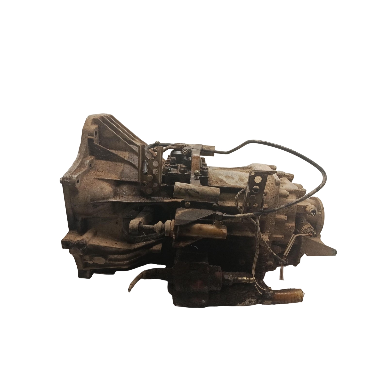 Miniatura 4