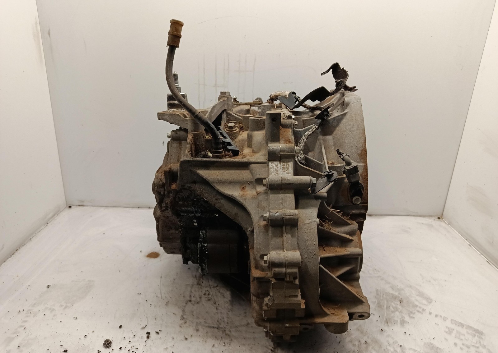 Miniatura 5