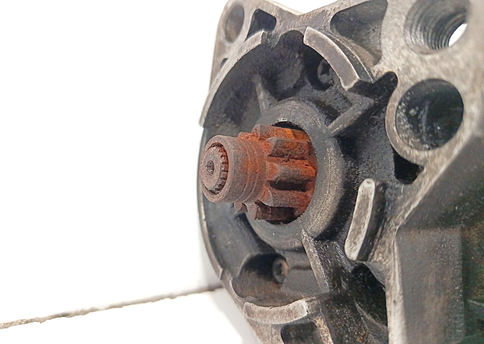 Miniatura 6
