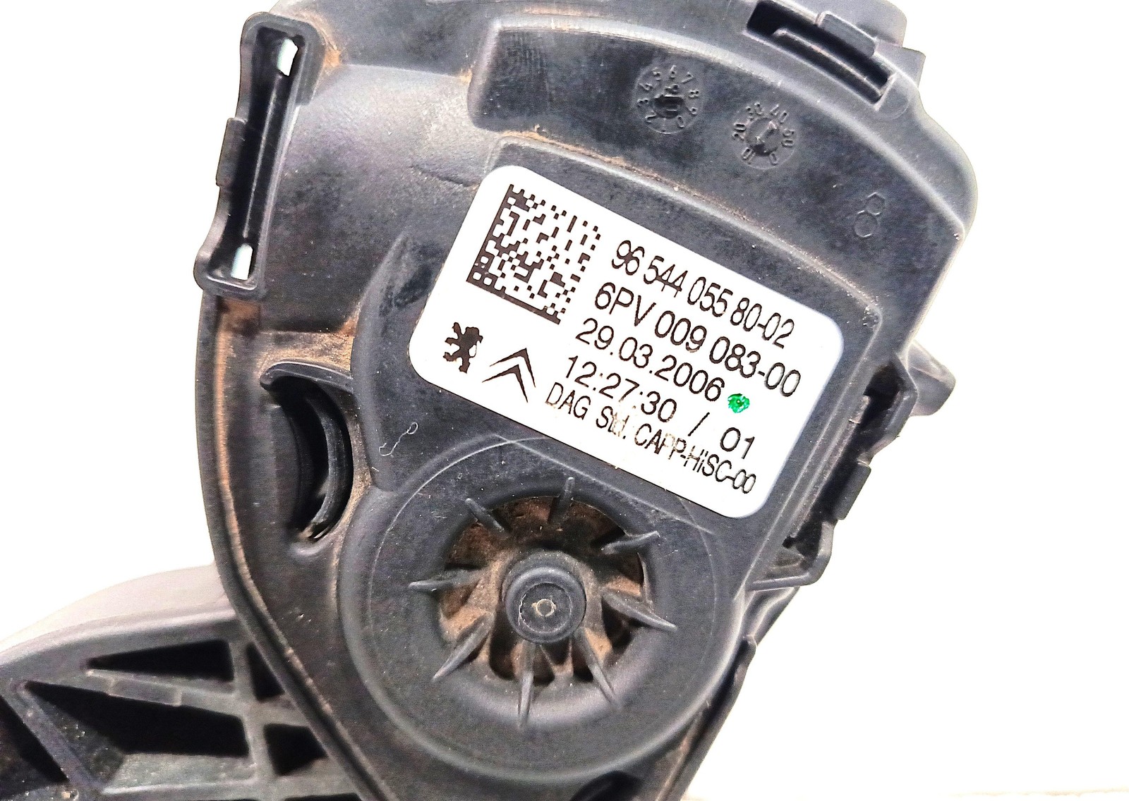Miniatura 6