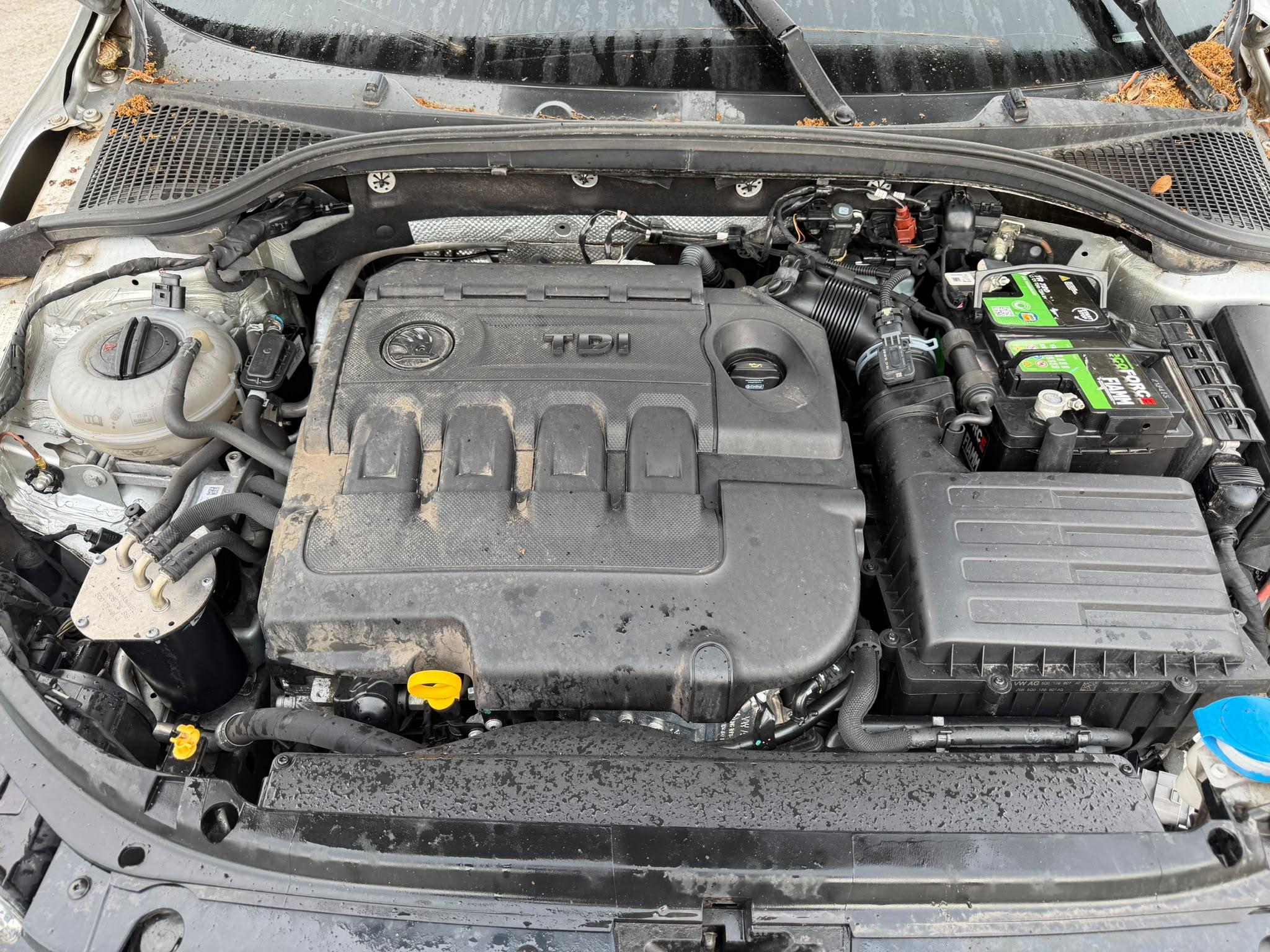 Miniatura 10
