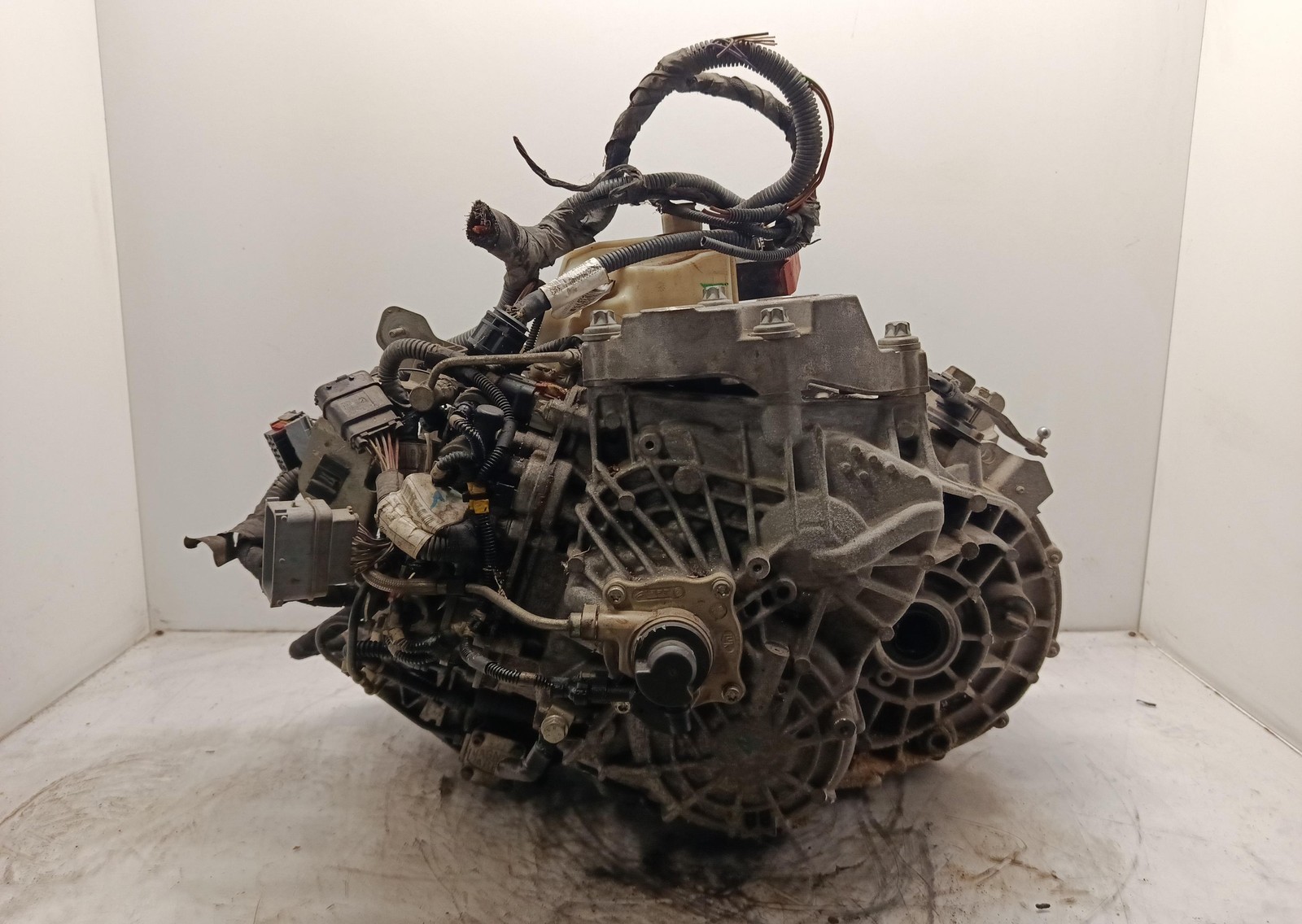 Miniatura 3