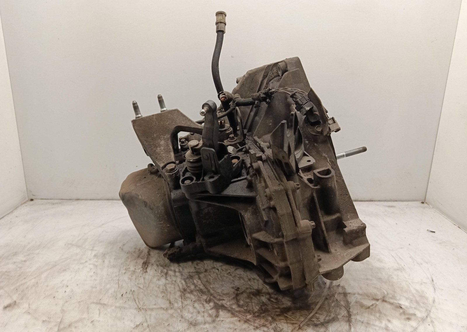 Miniatura 4