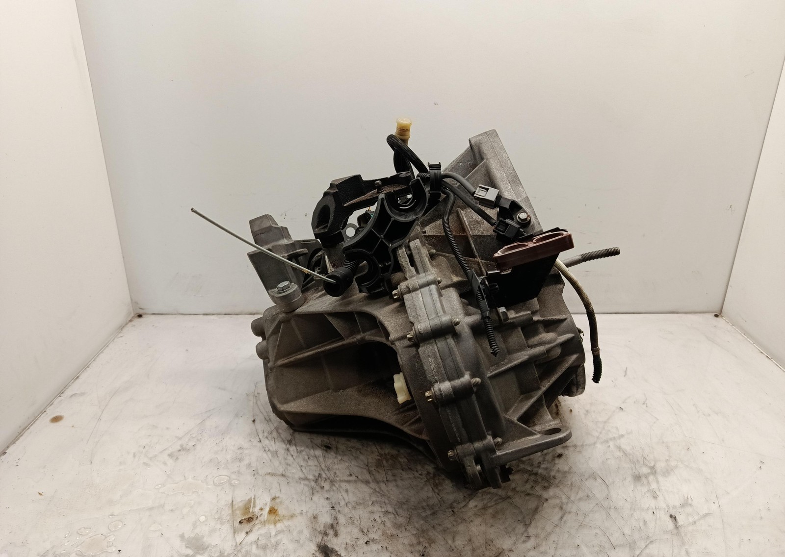 Miniatura 4