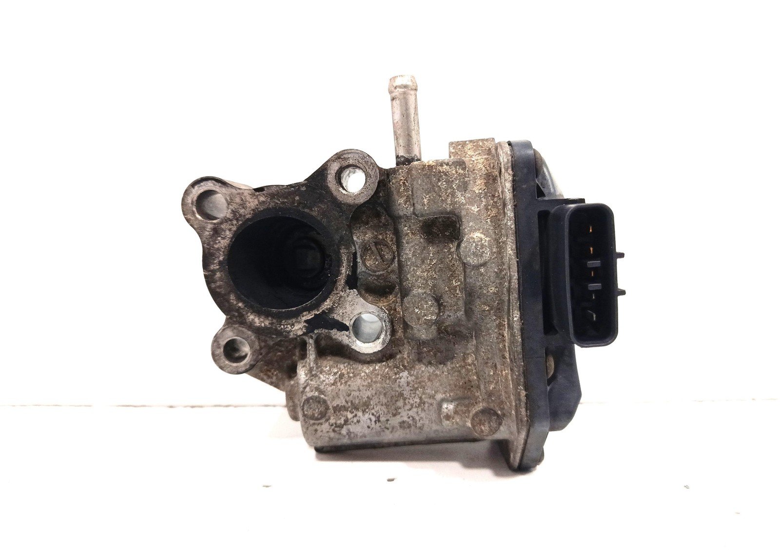 Miniatura 6