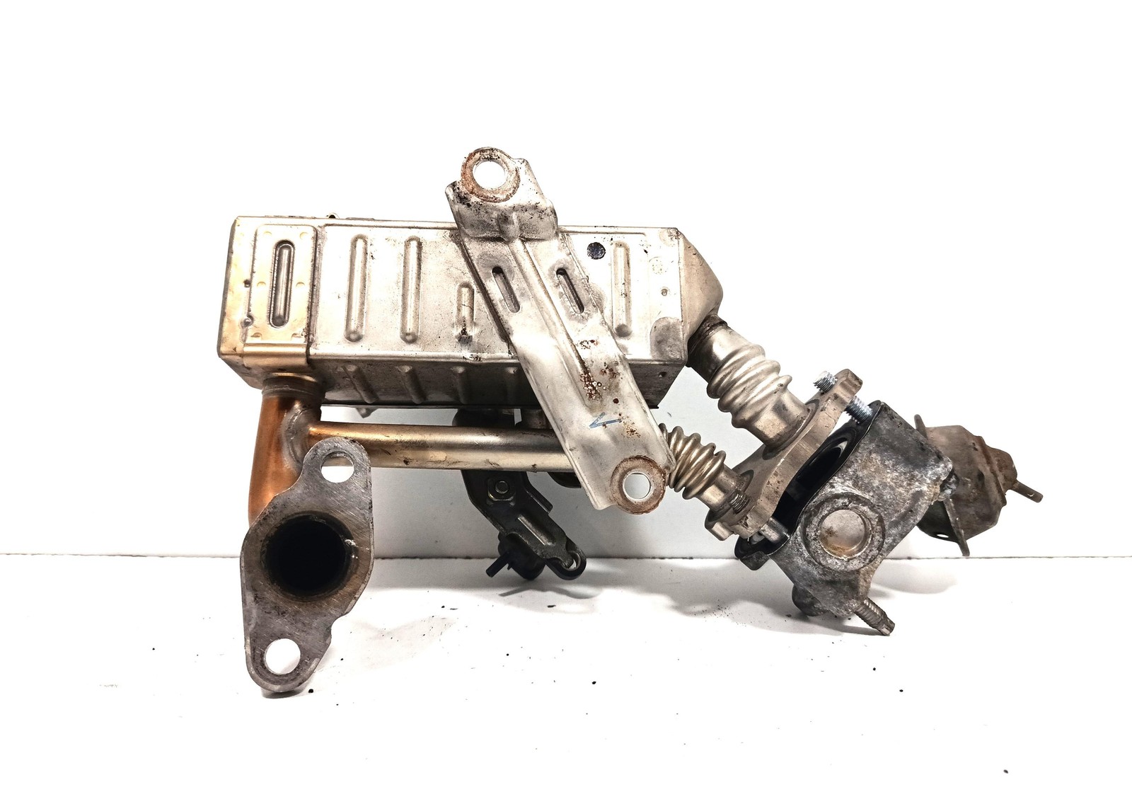 Miniatura 6