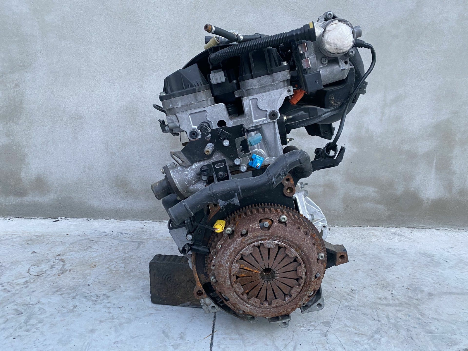 Miniatura 4