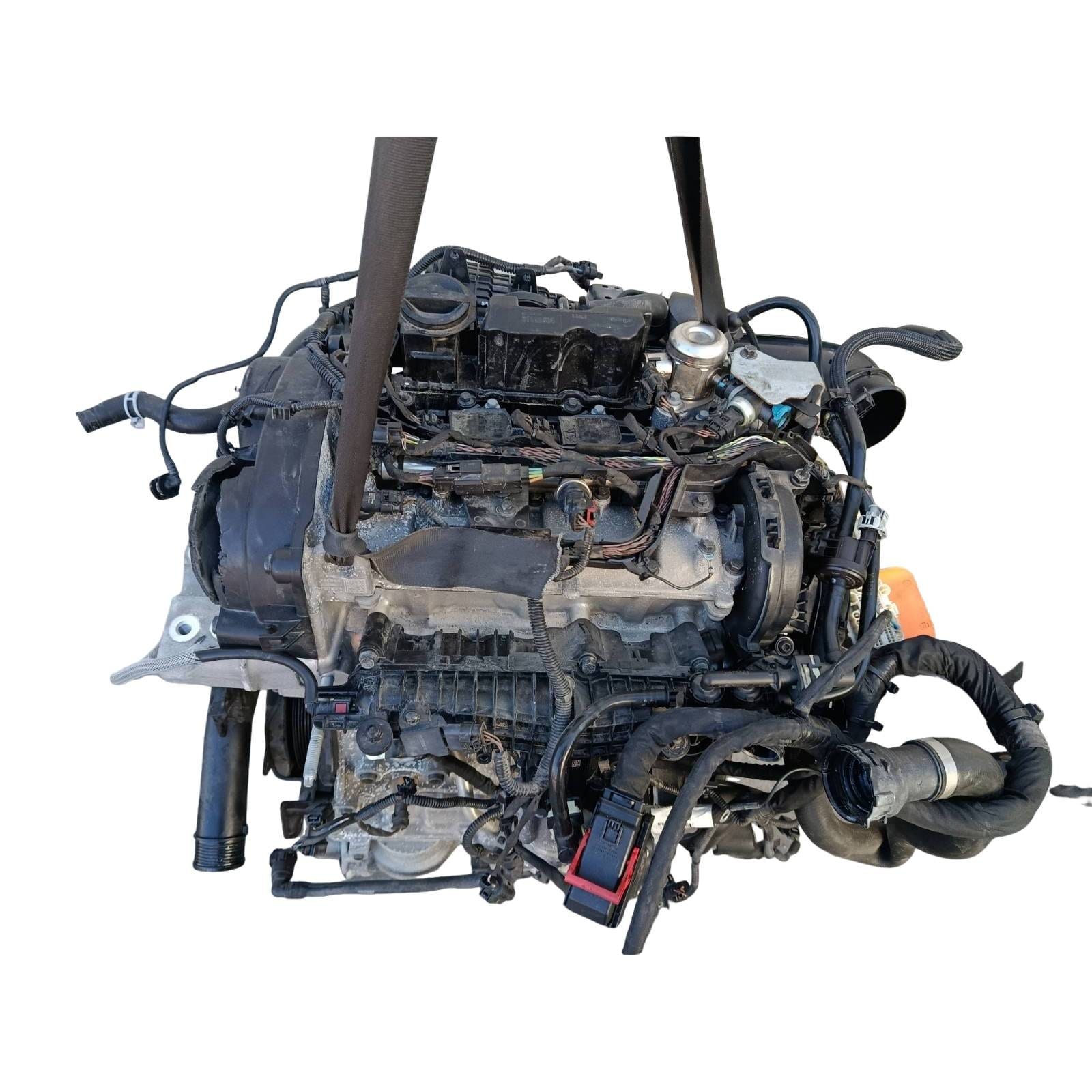 Miniatura 6