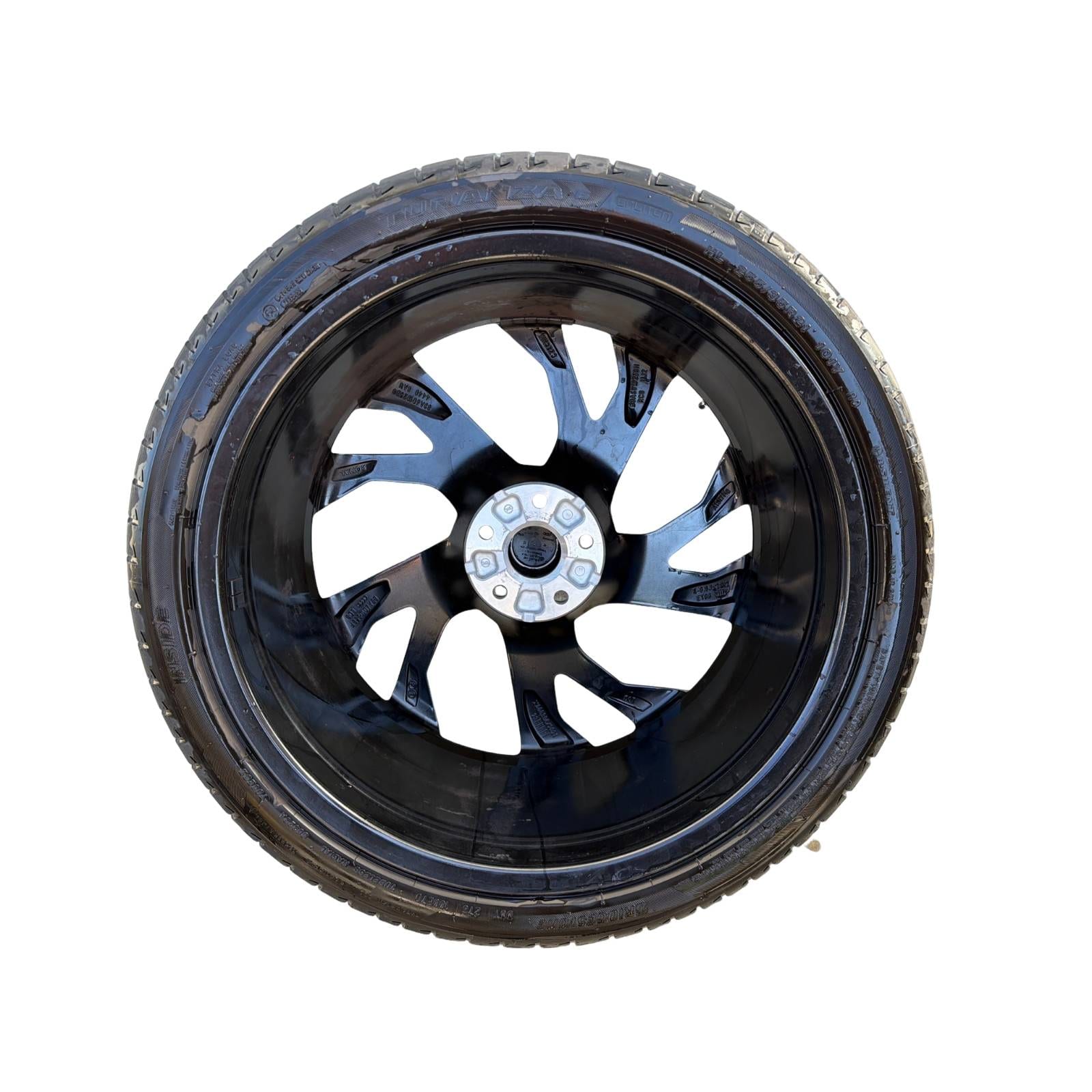 Miniatura 5