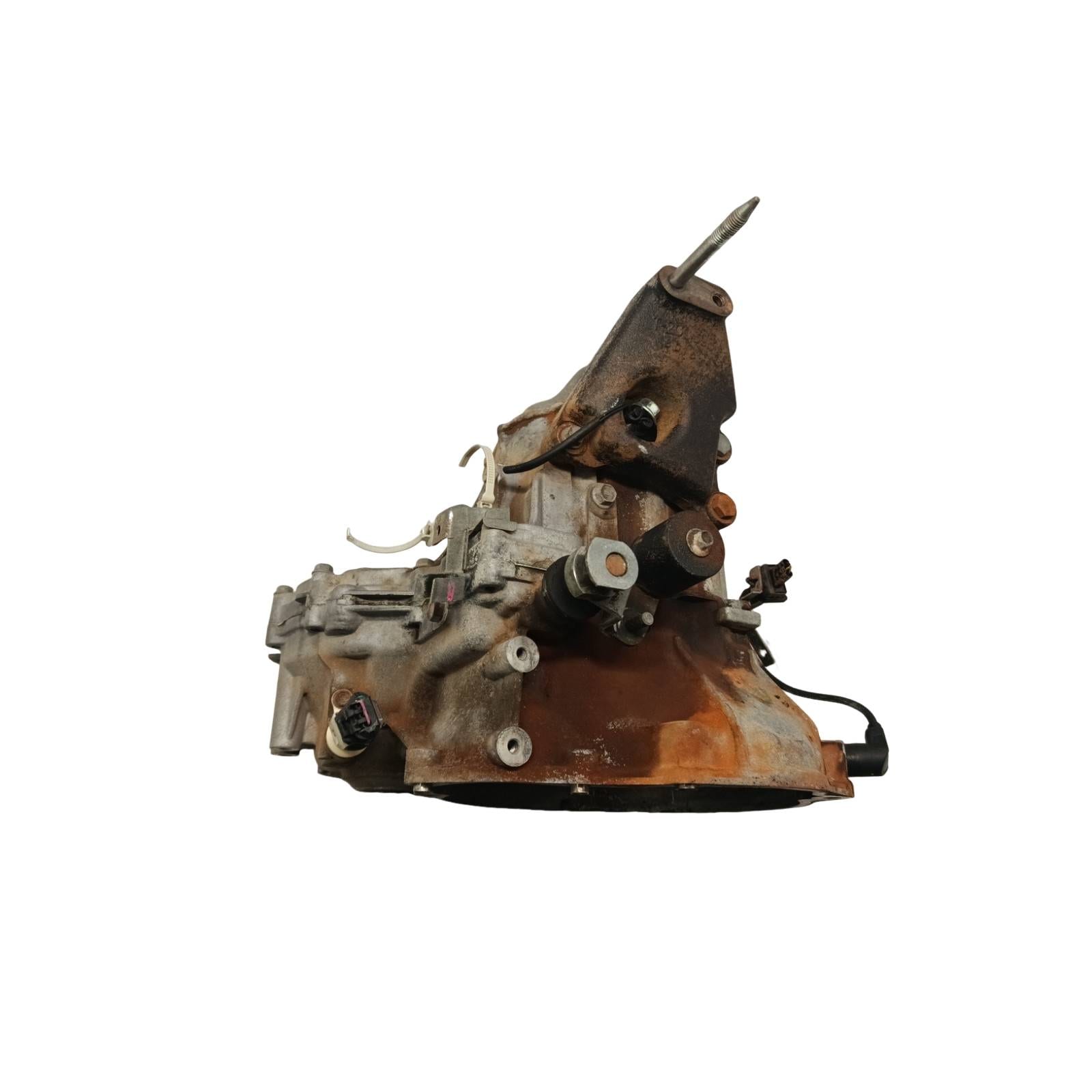 Miniatura 5