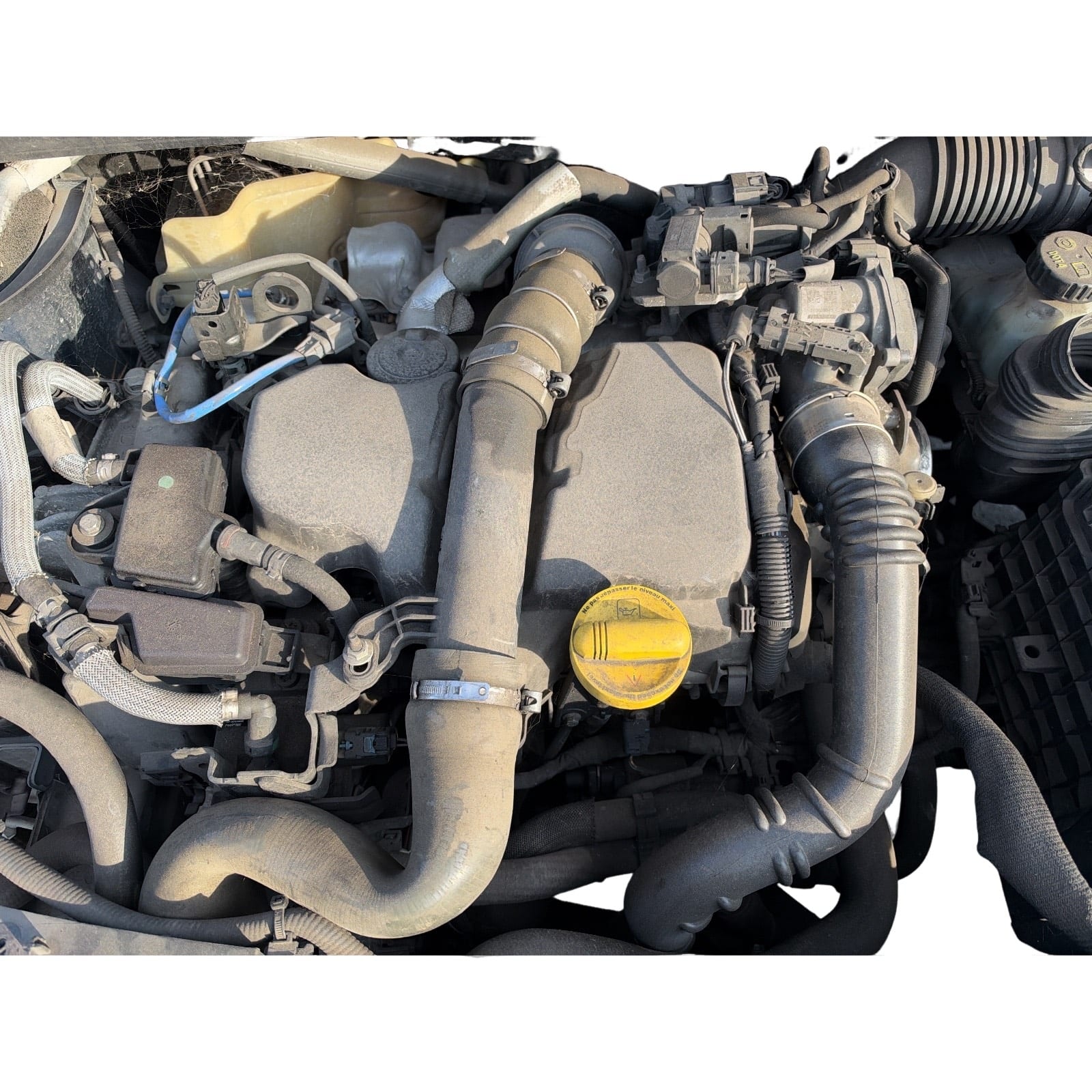 Motore Semicompl. (Continental) 8201630670 5WS40844 Usato