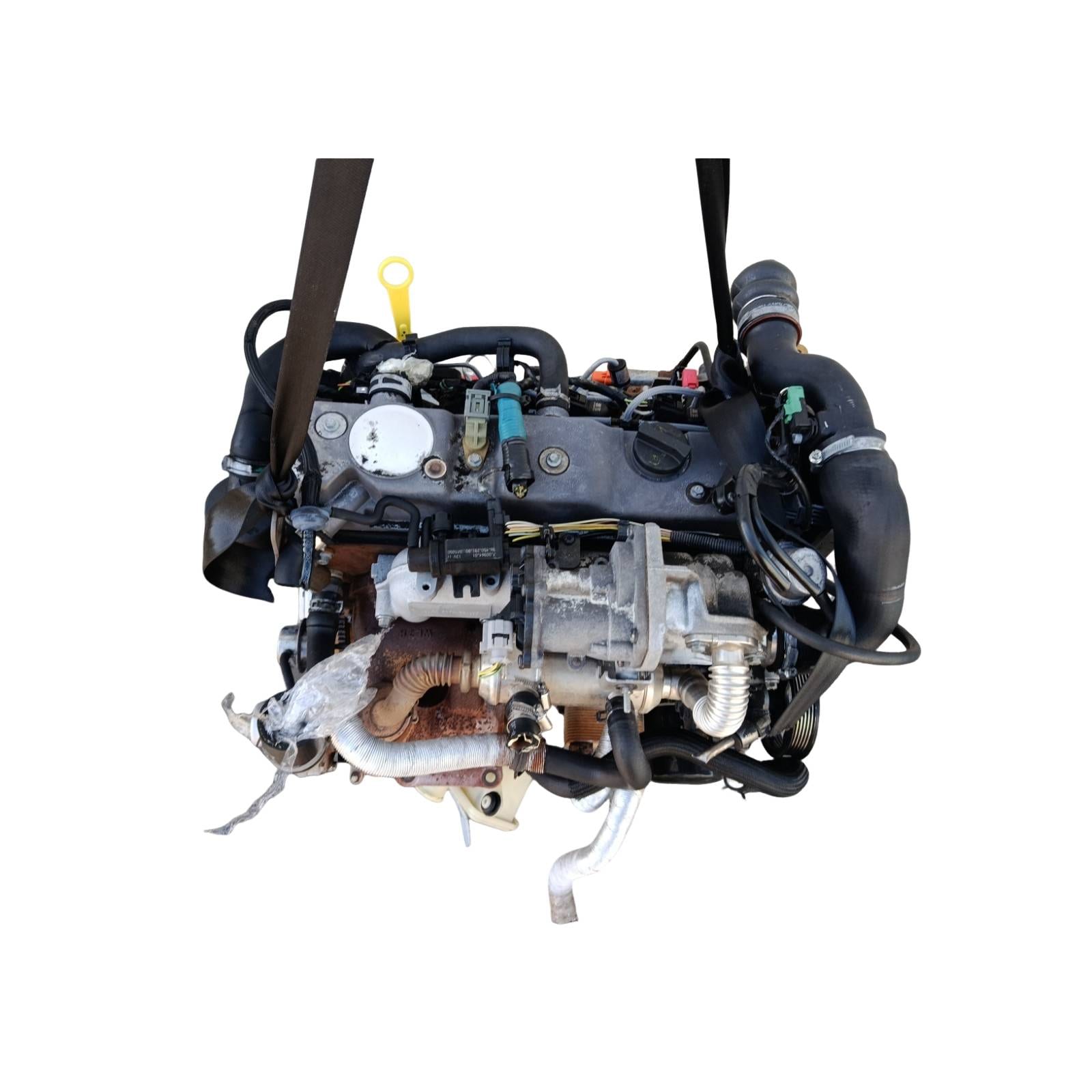 Miniatura 5