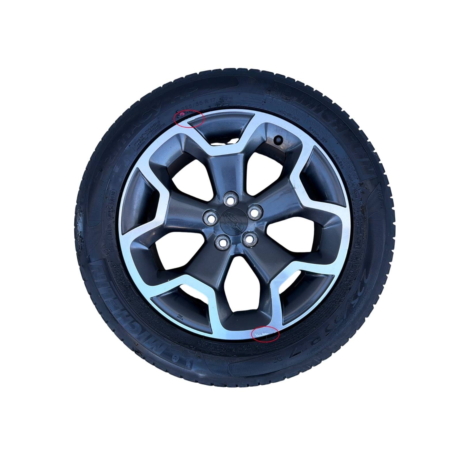 Miniatura 5
