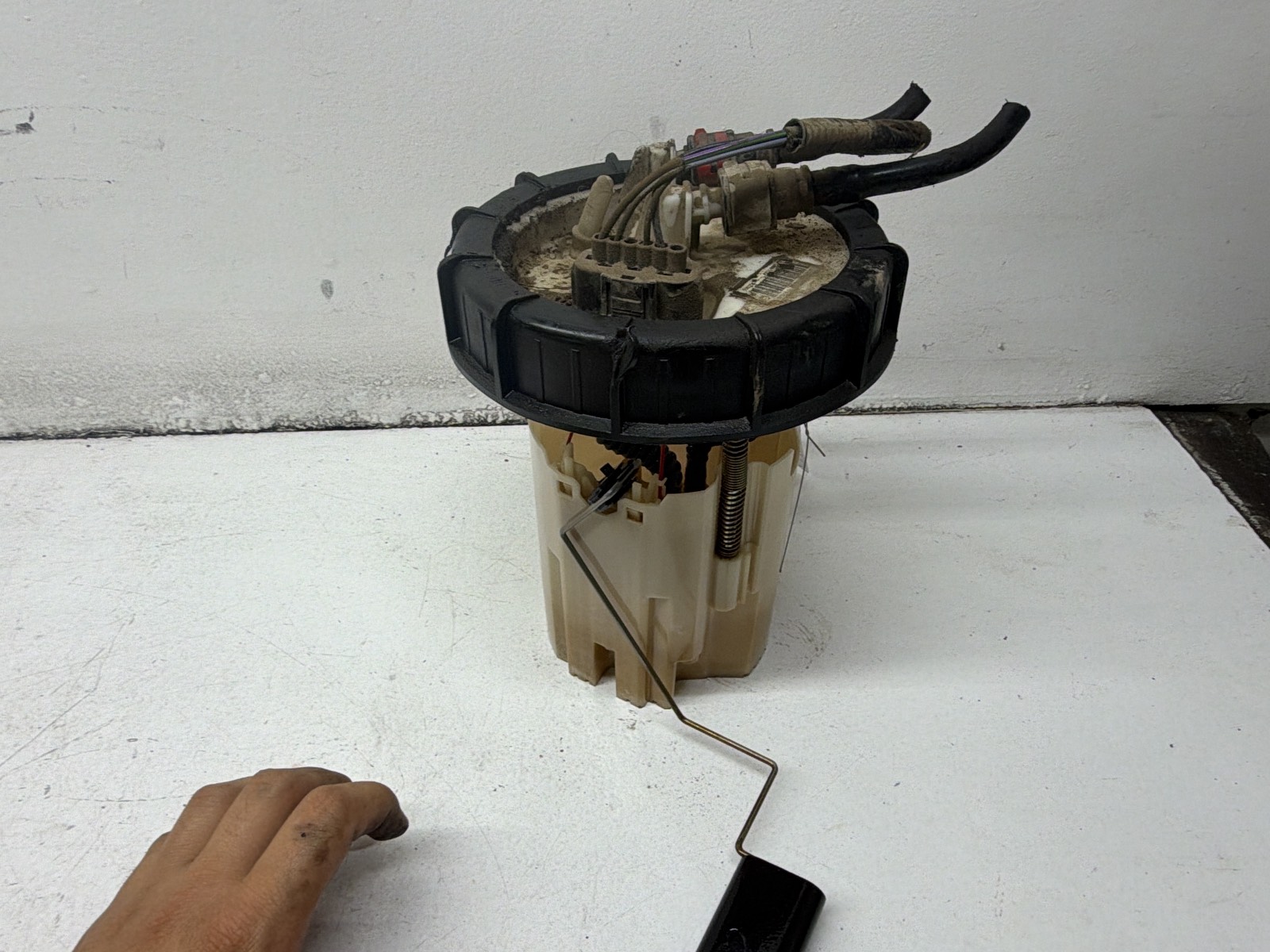 Miniatura 7