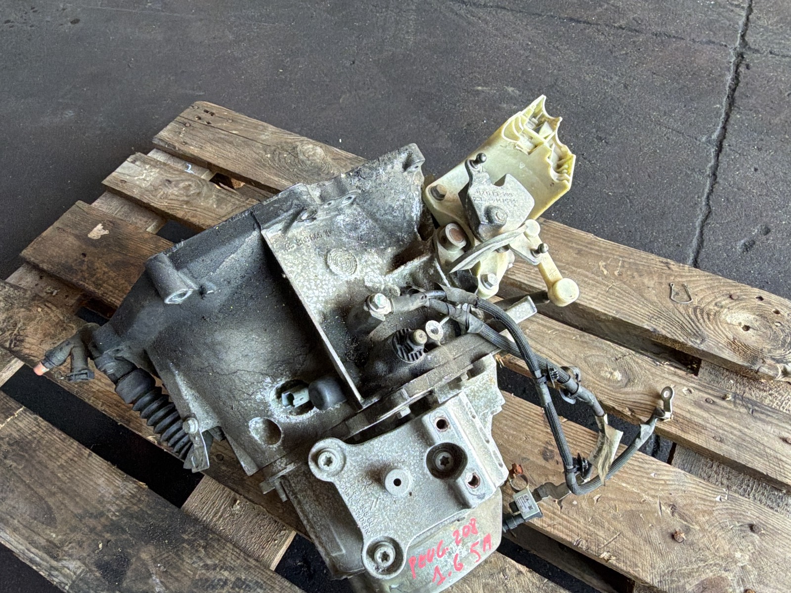Miniatura 11
