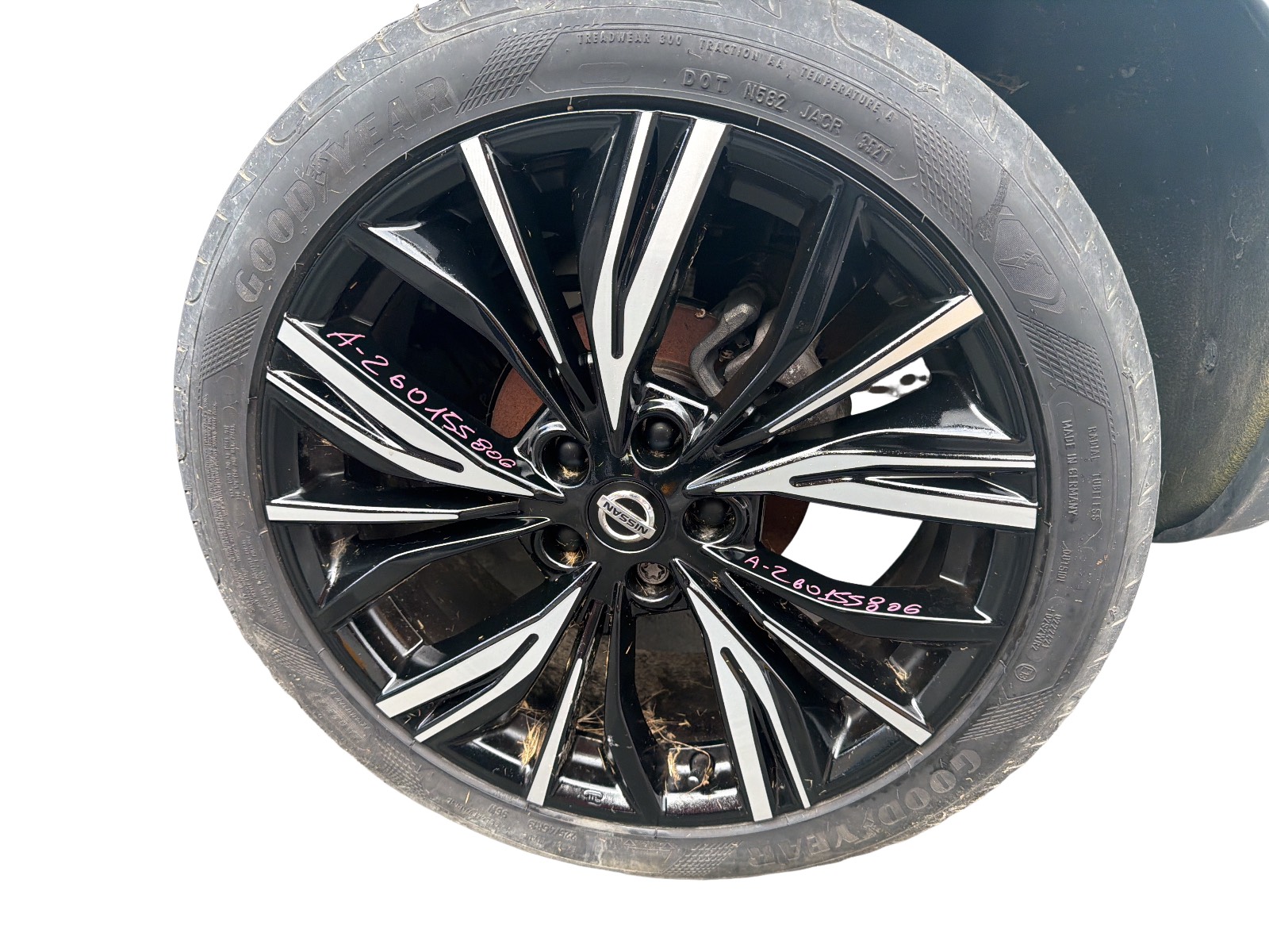 Disco Ruota Post. In Lega Sinistro (Nissan Nissan) 403006PD1B D03006PA3B Usato