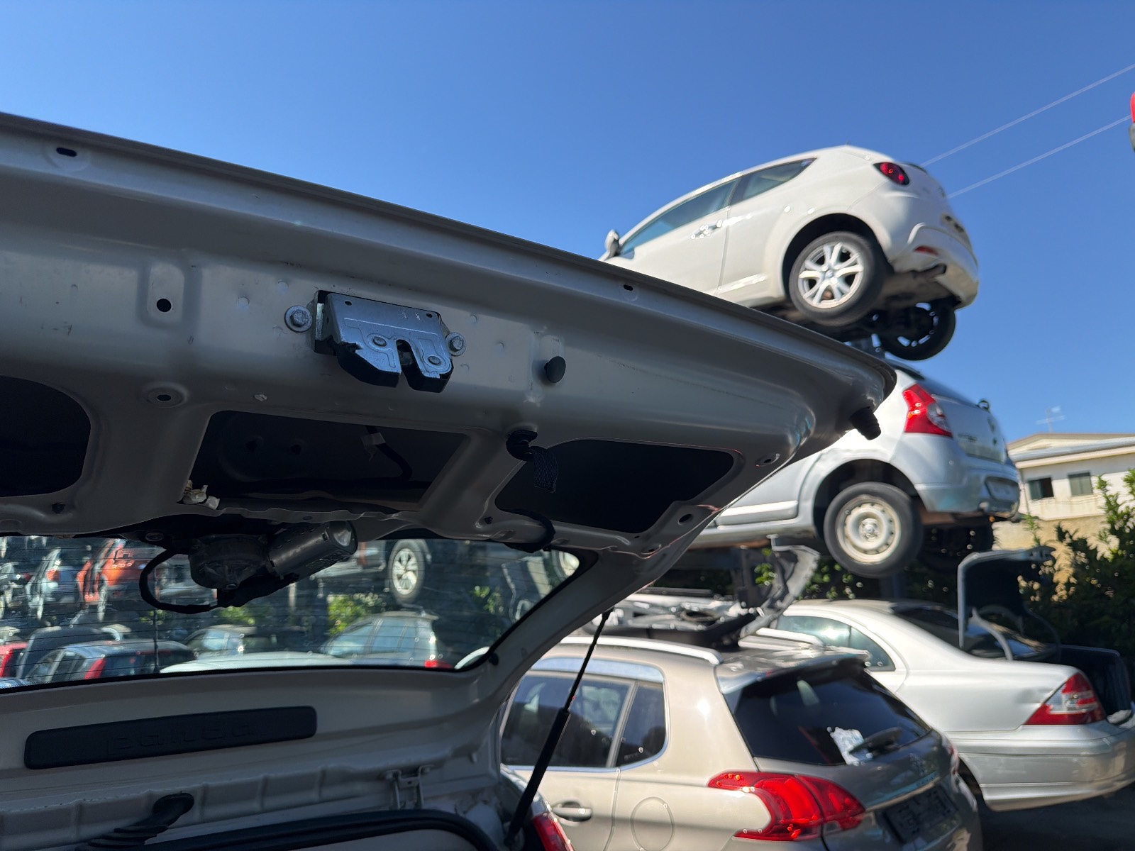 Miniatura 8