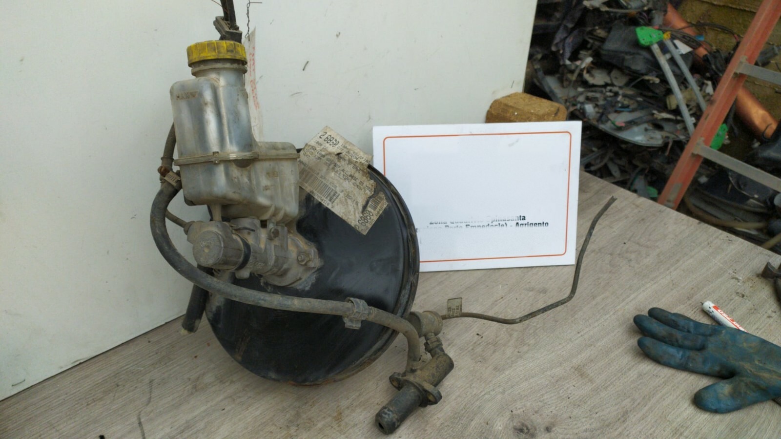 Miniatura 4