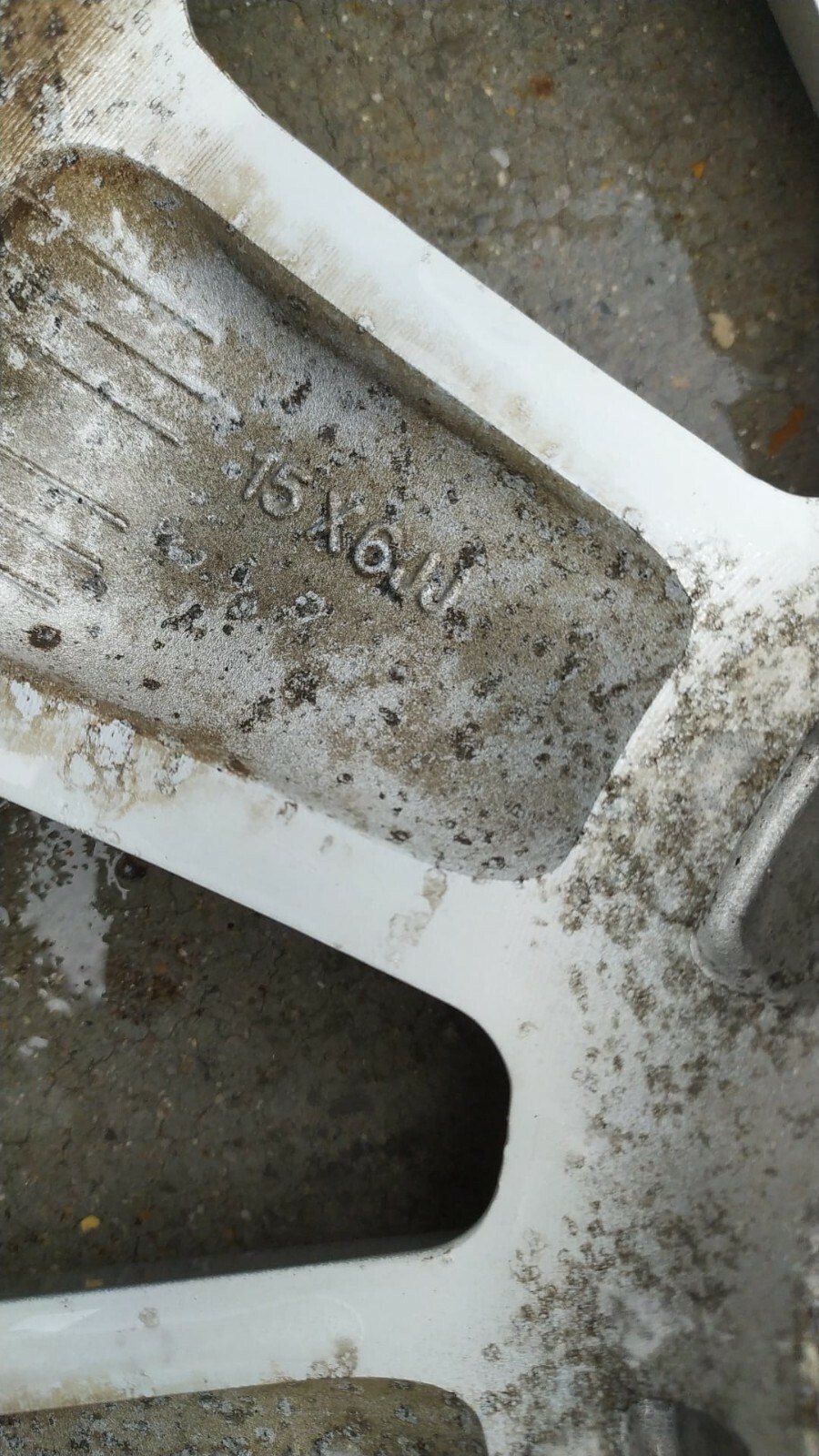 Miniatura 9