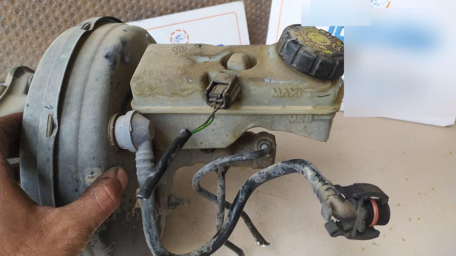 Miniatura 2