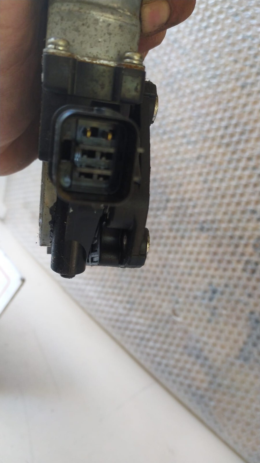 Miniatura 13