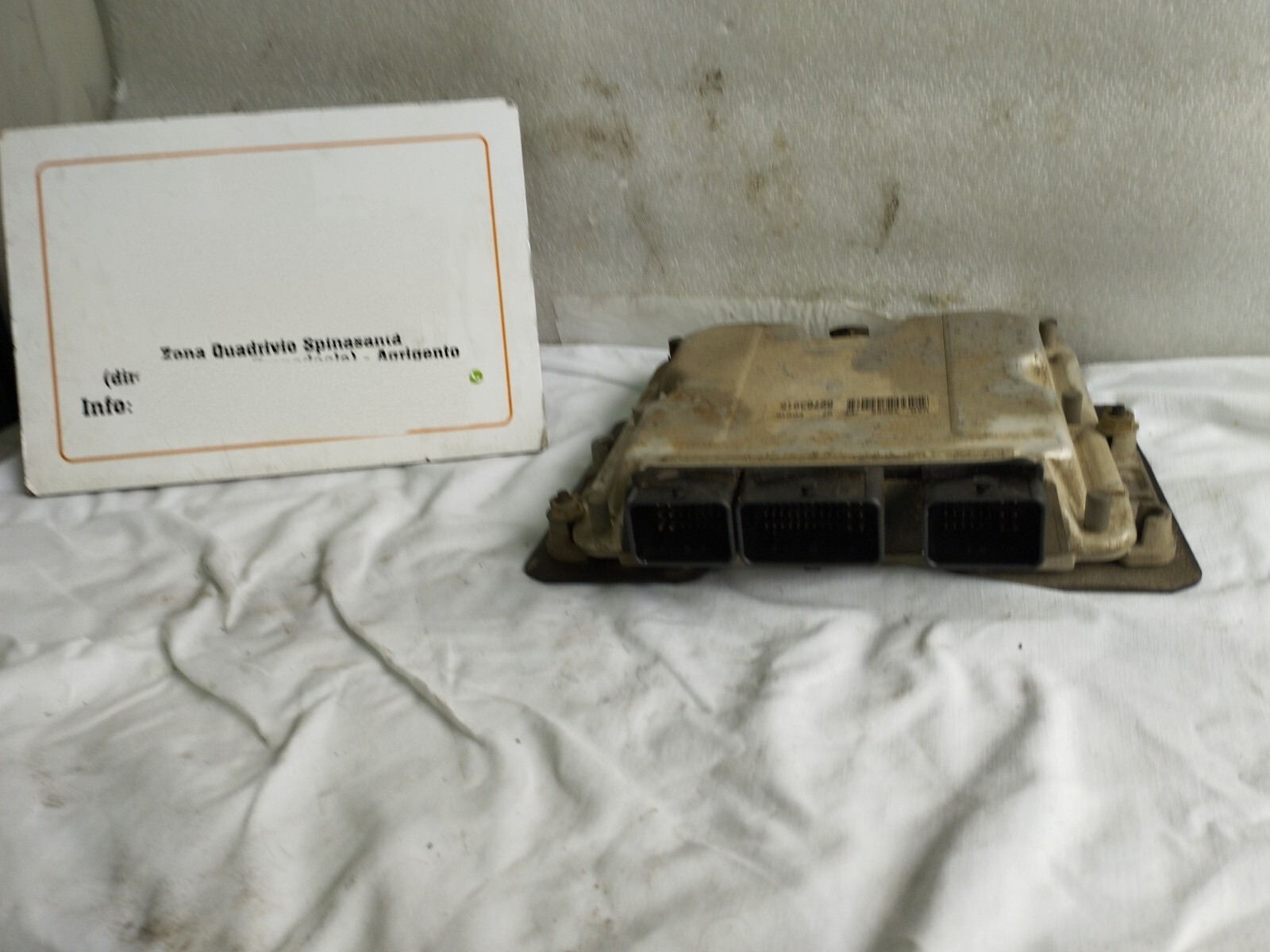 Miniatura 7
