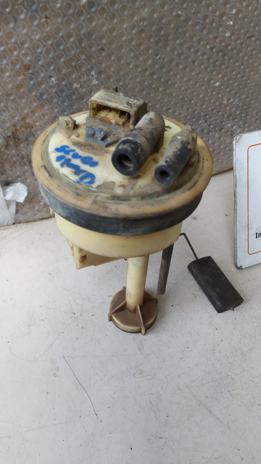 Miniatura 3
