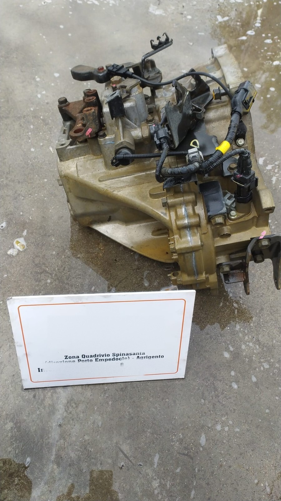 Miniatura 5