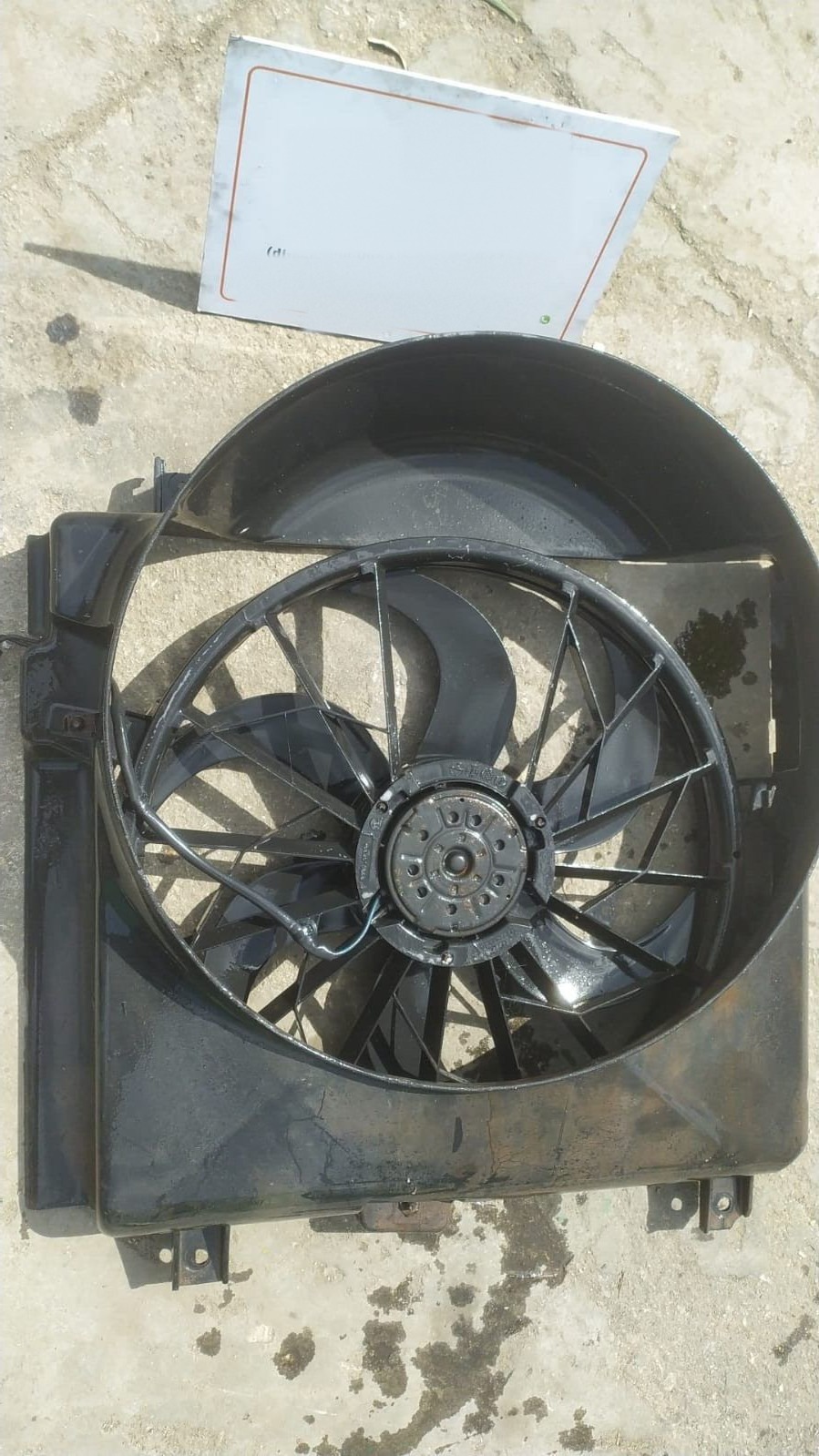 Miniatura 4