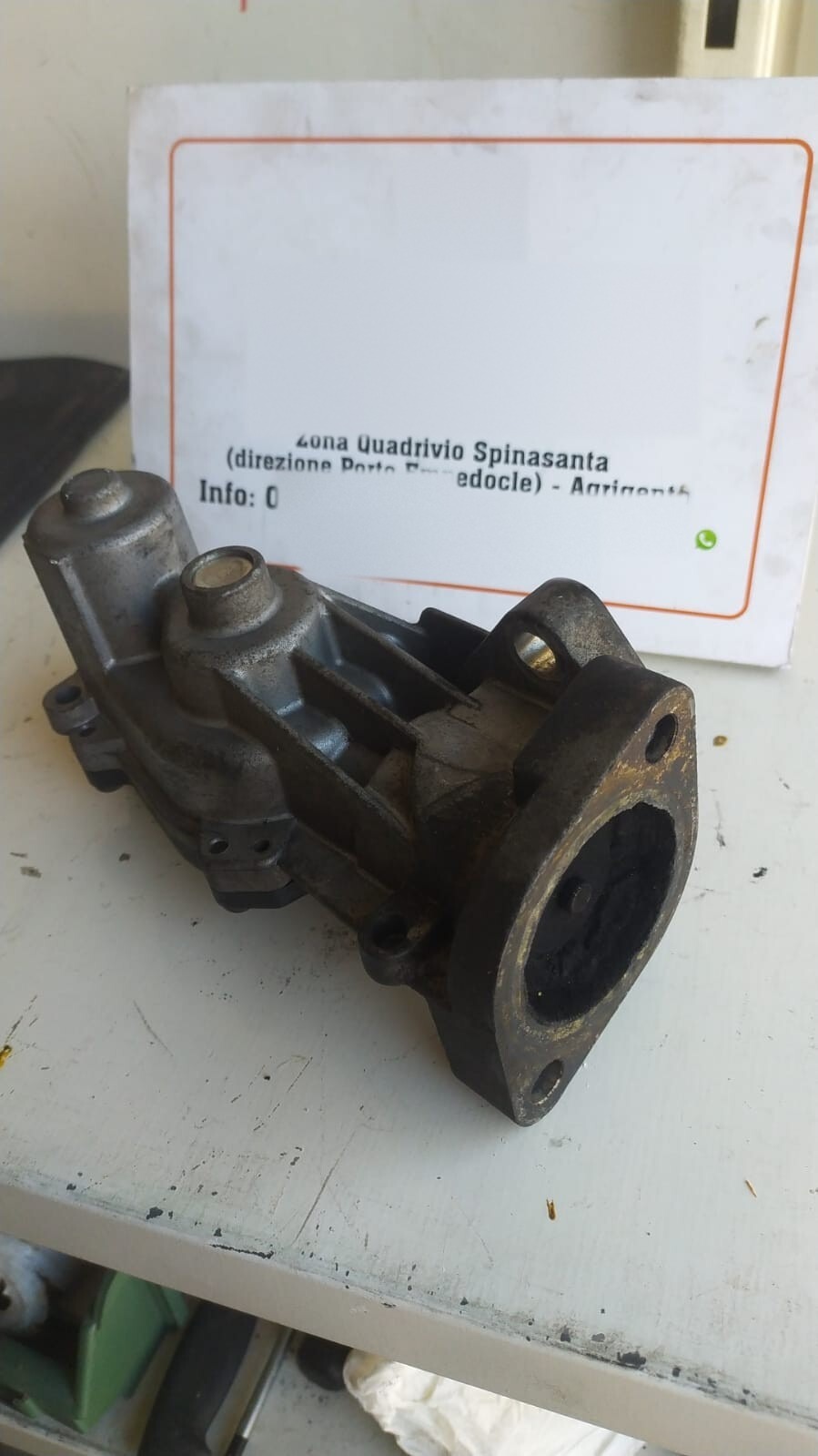 Miniatura 5