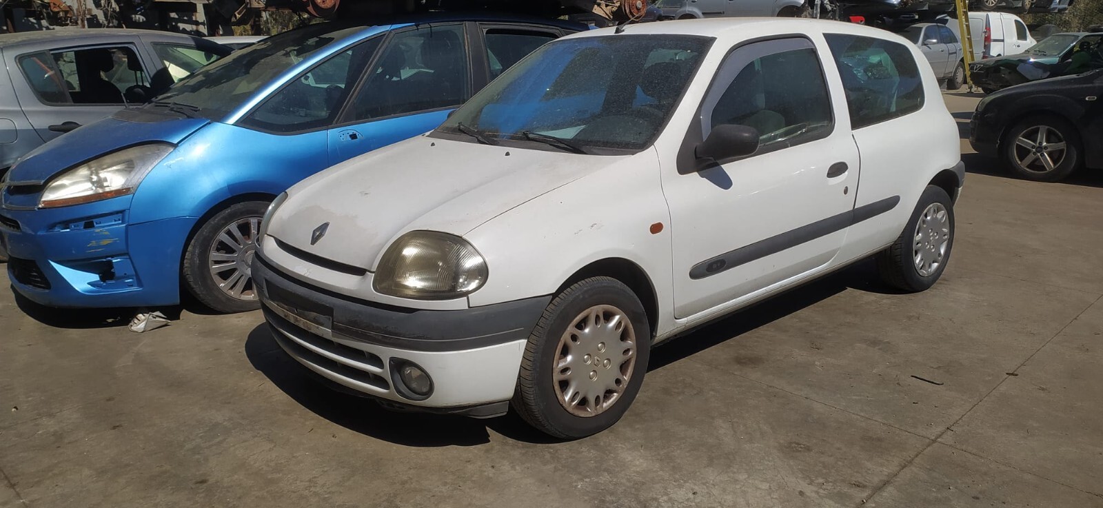 Miniatura 9