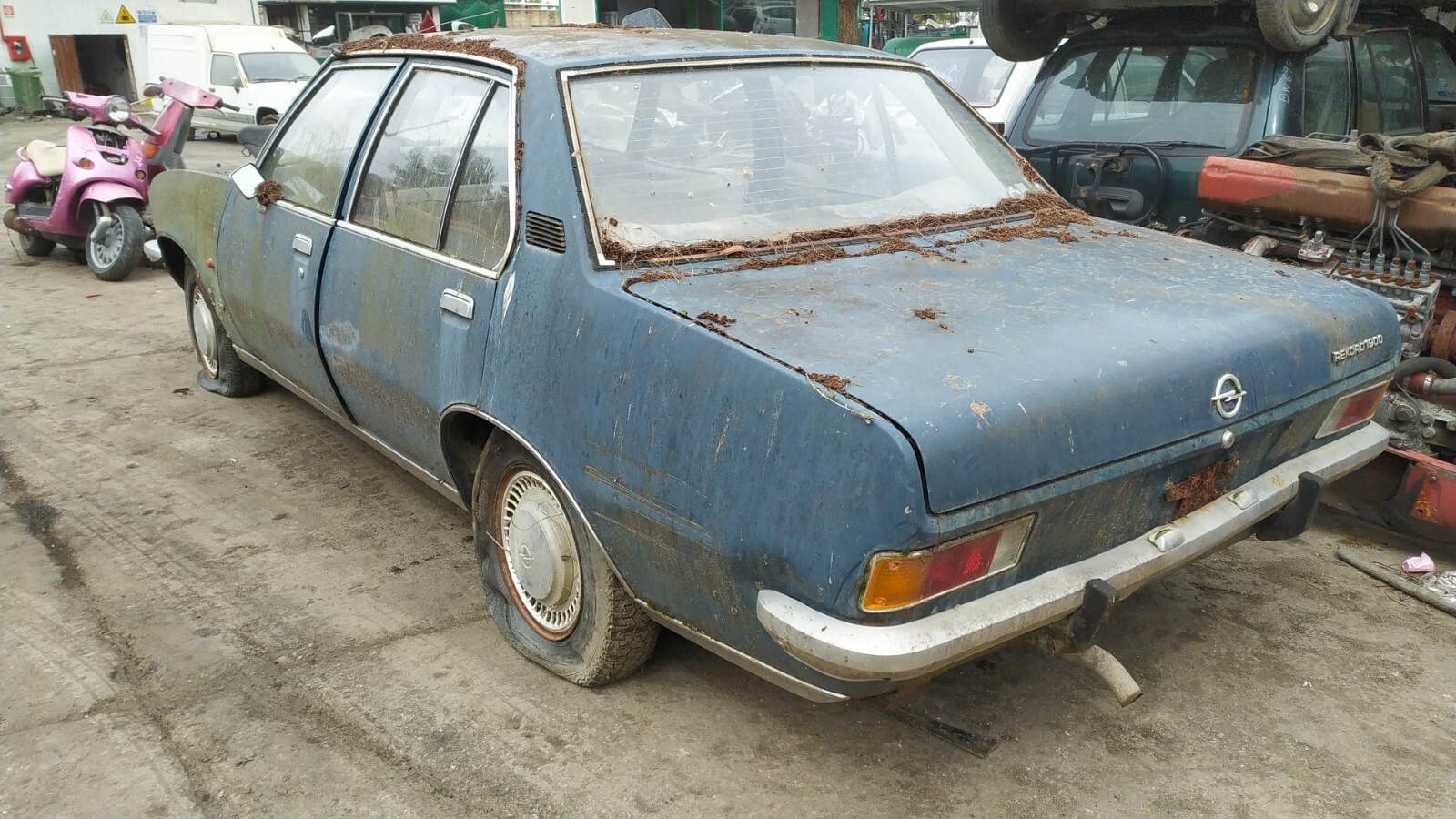 Miniatura 8