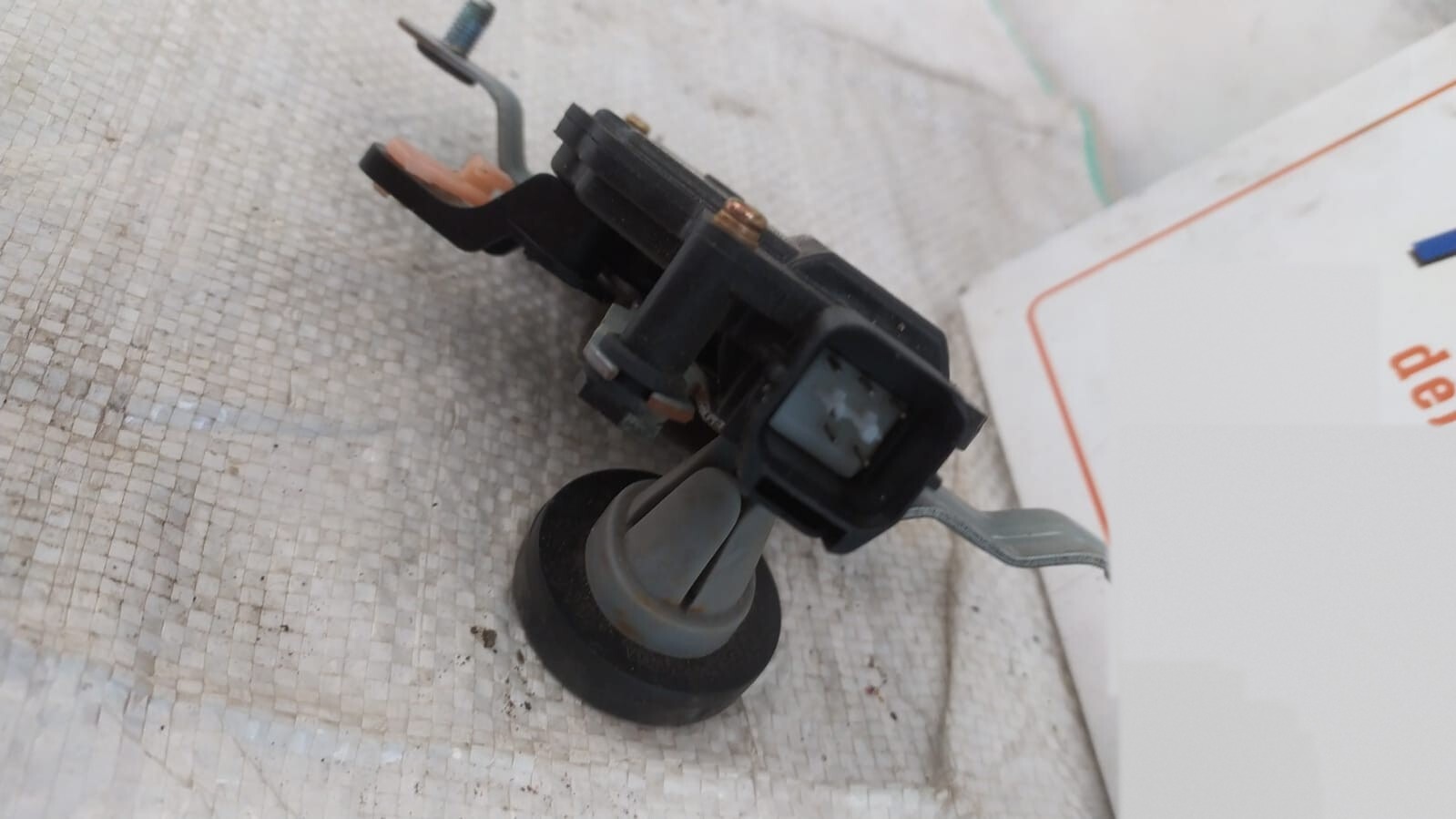 Miniatura 4