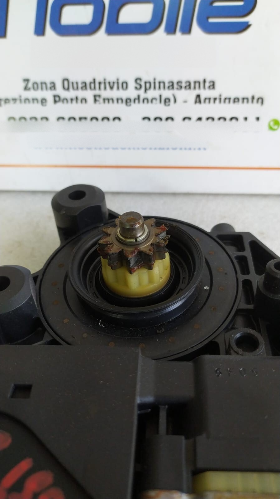 Miniatura 3