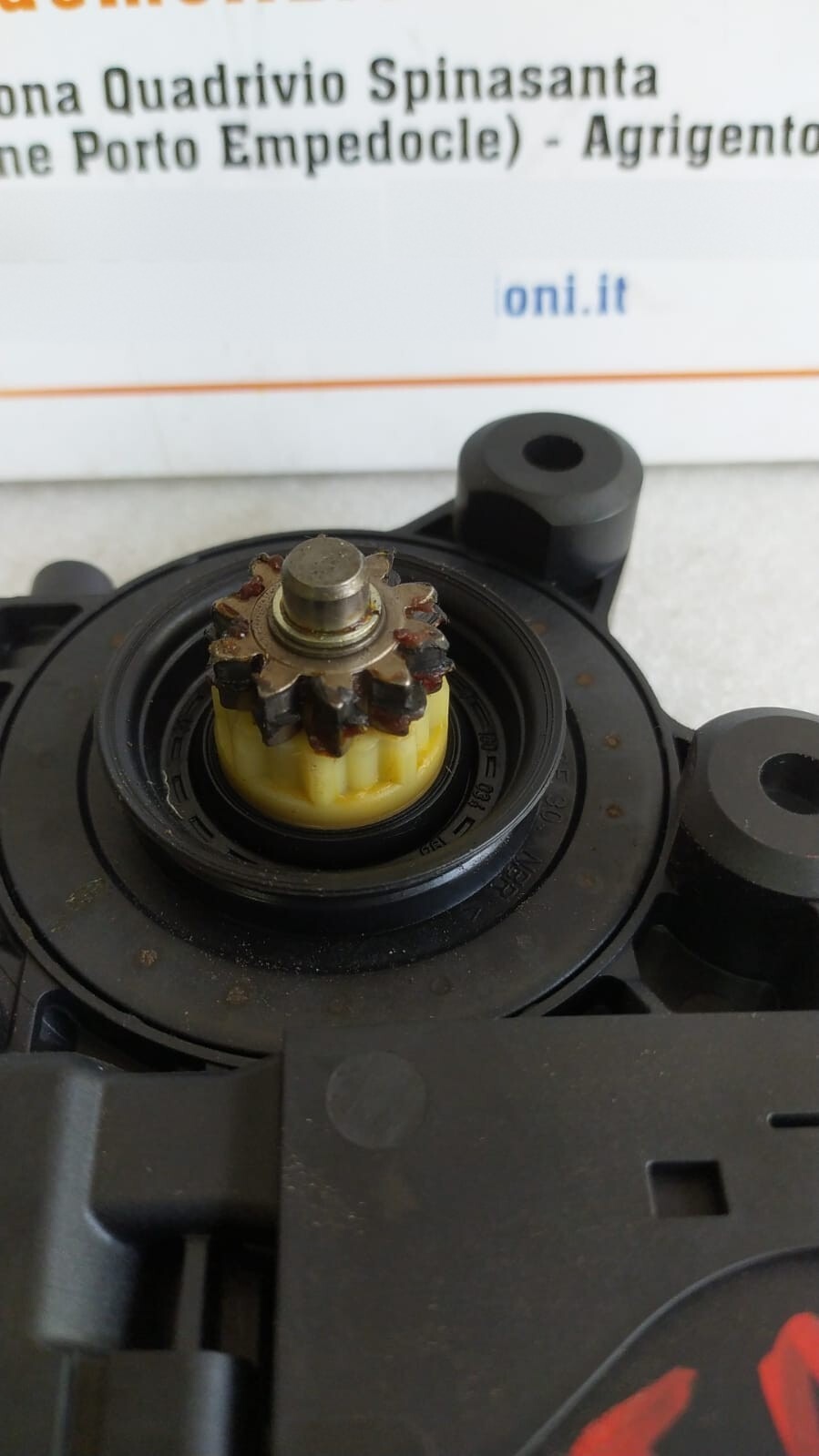 Miniatura 4
