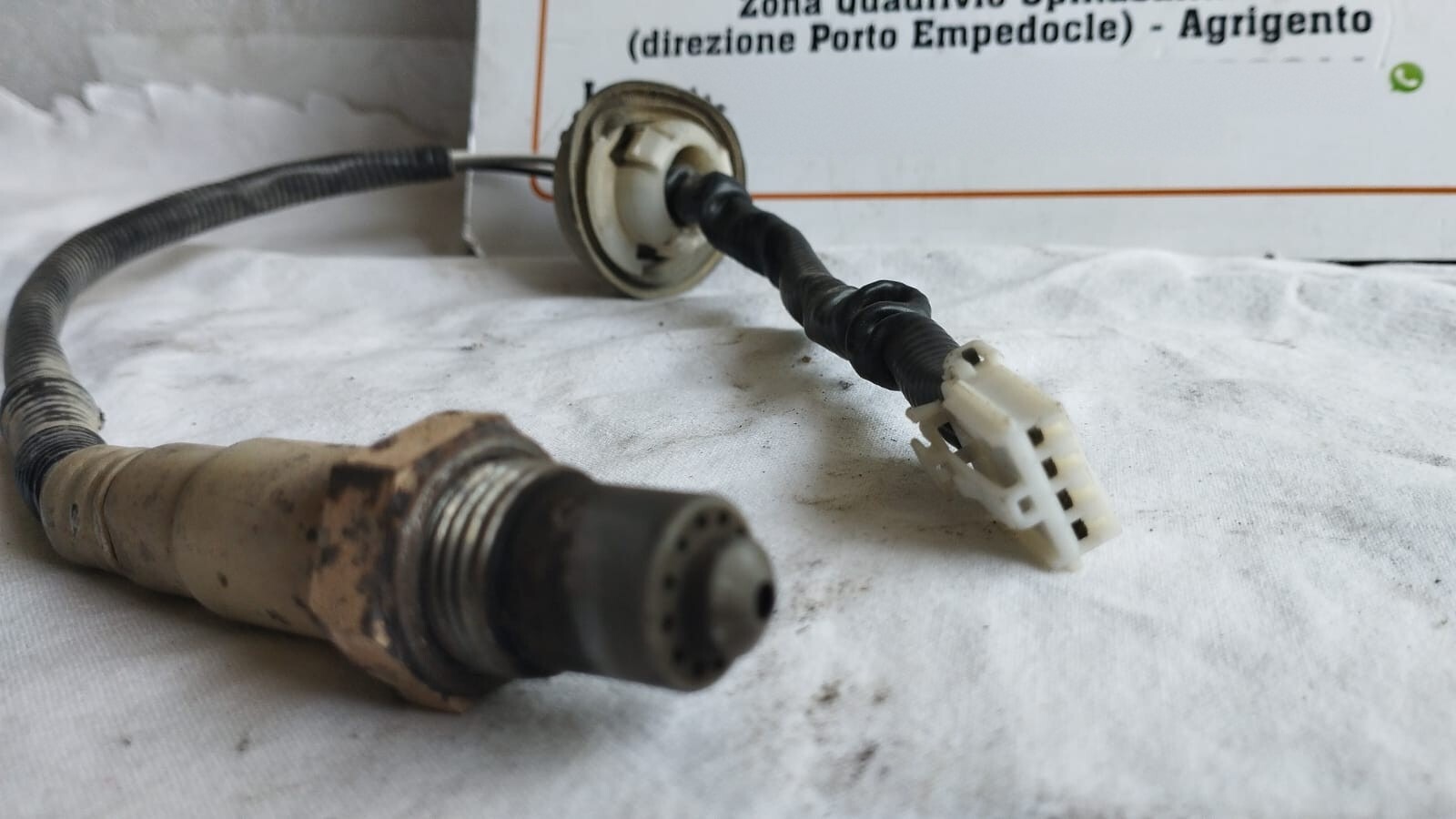 Miniatura 2