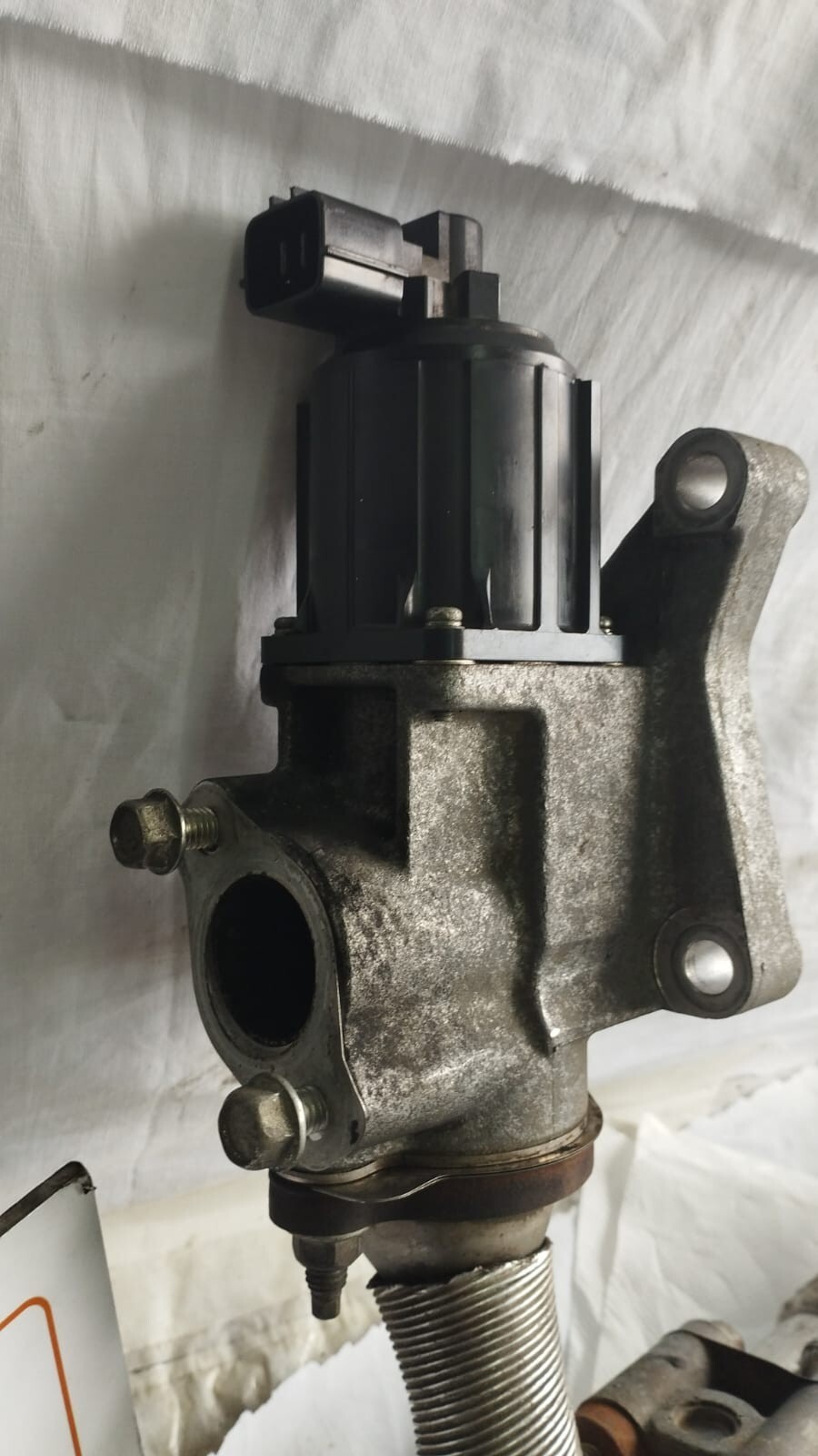 Miniatura 9