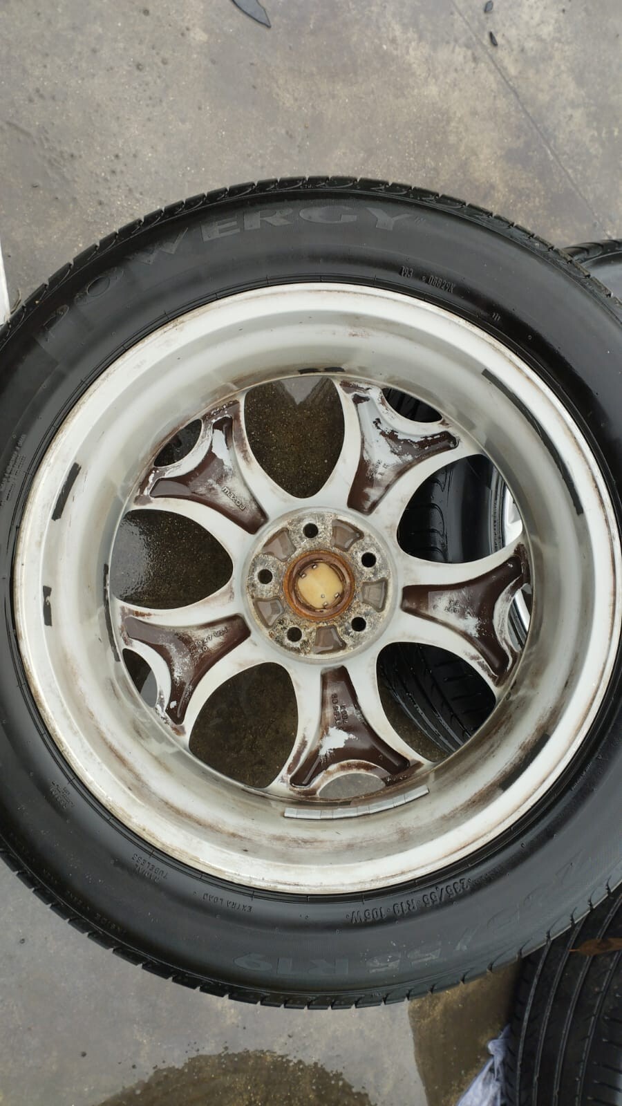 Miniatura 7