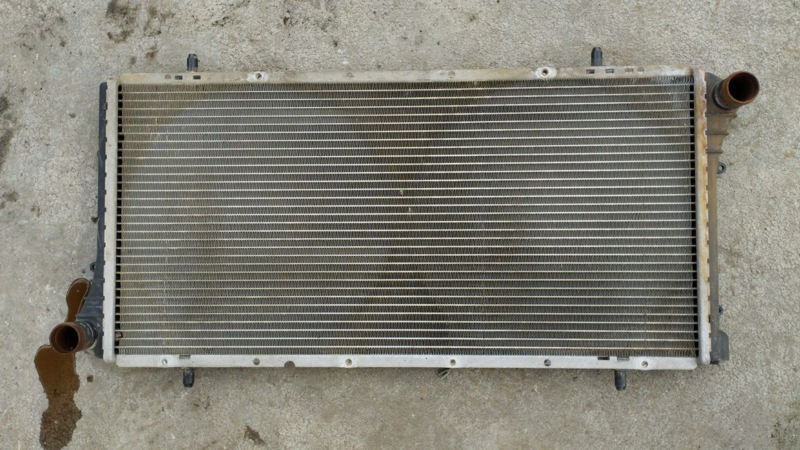 Miniatura 7