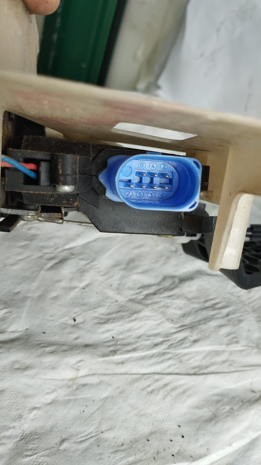 Miniatura 6