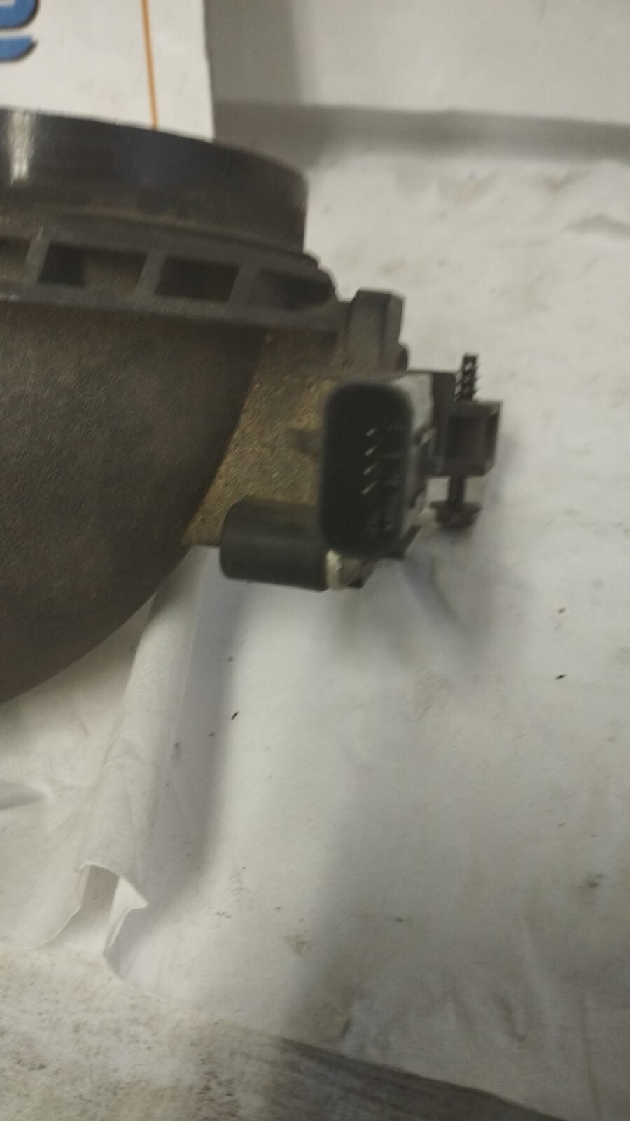 Miniatura 7