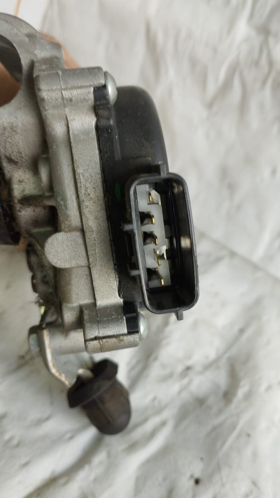 Miniatura 6
