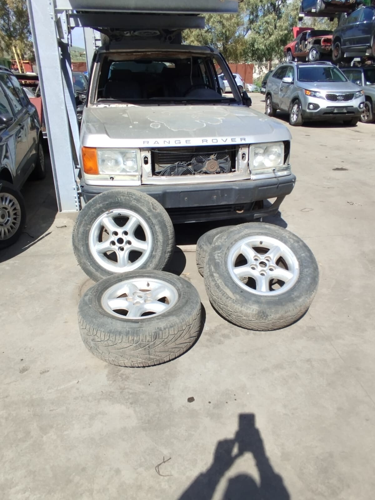 Miniatura 6