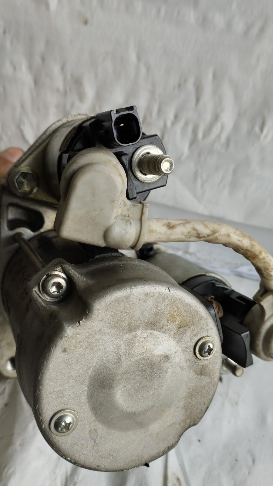 Miniatura 9