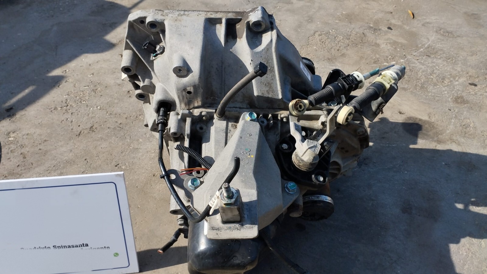 Miniatura 6