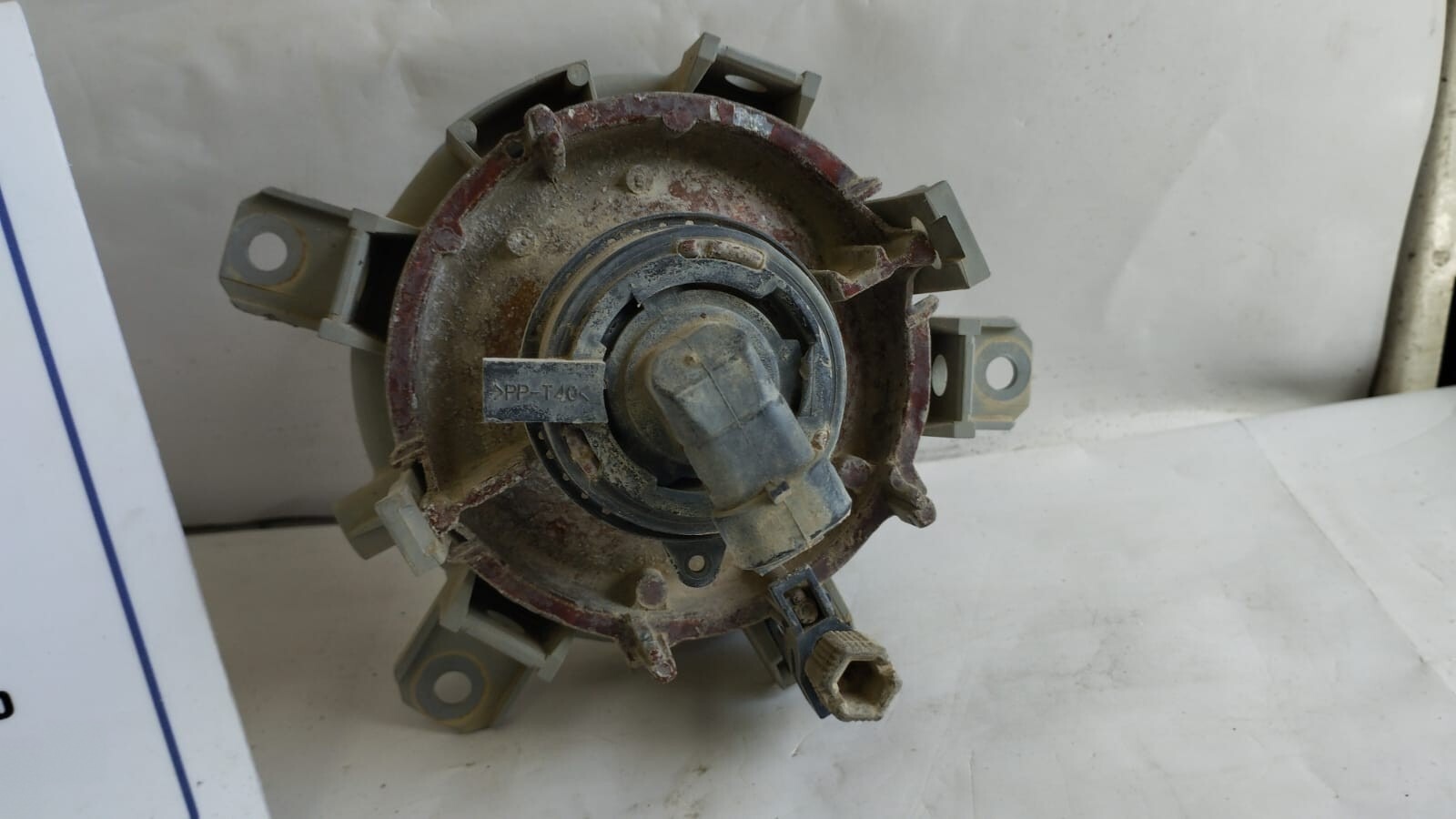 Miniatura 5