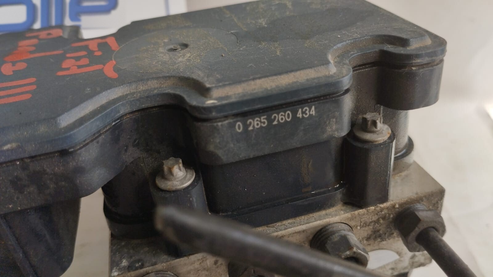 Miniatura 6