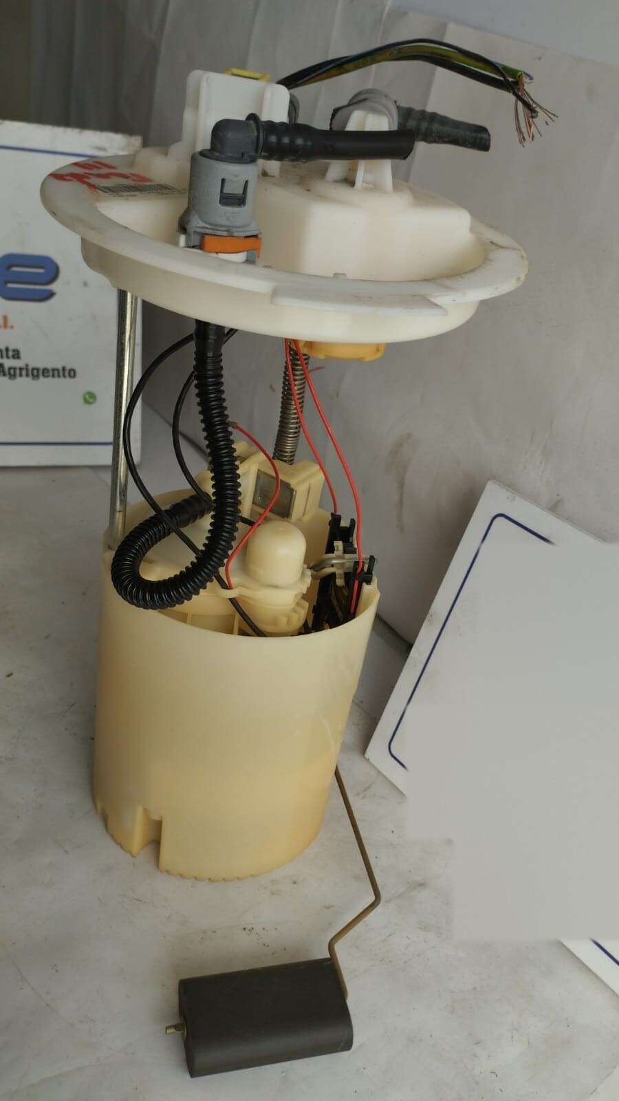 Miniatura 3