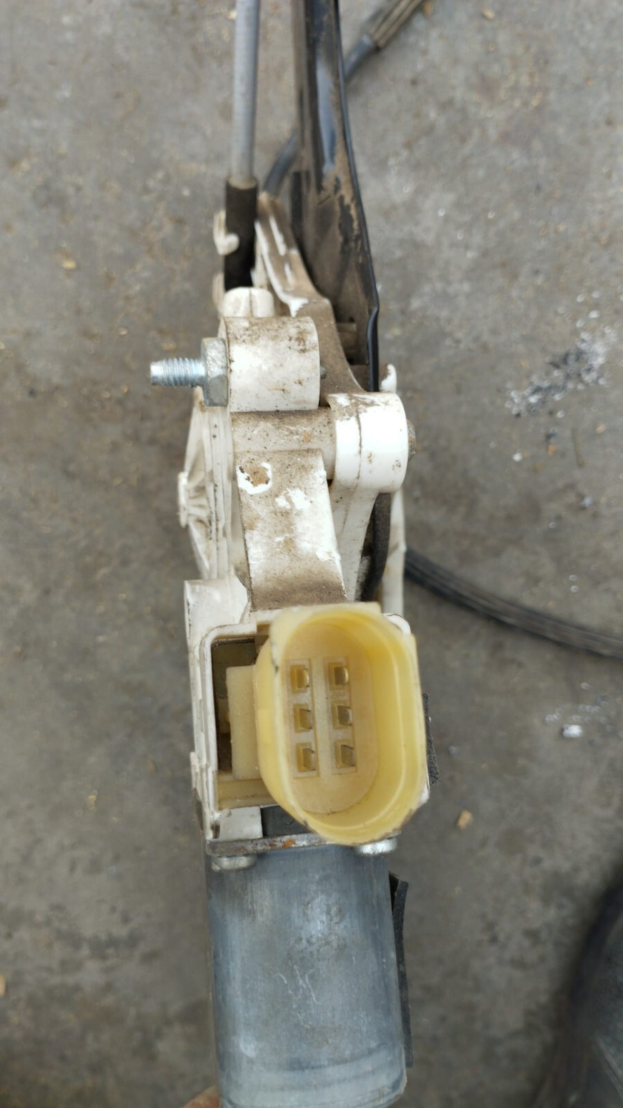 Miniatura 7