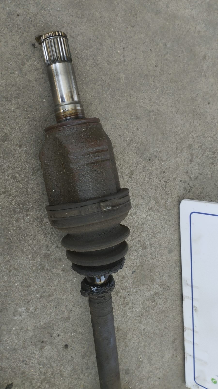 Miniatura 3